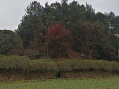 -韶山毛泽东同志故居