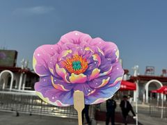 -曹州牡丹园