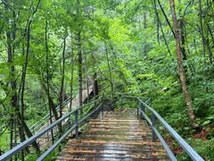 -五营红松林海景区