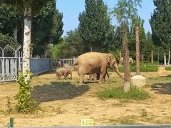 -石家庄市动物园