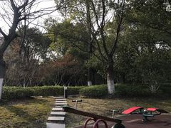 -中央公园(苏州工业园区)