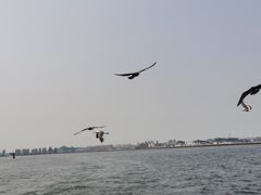 -星海广场