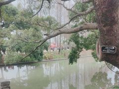 -江心屿景区
