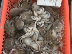 -大湾区中央湿地公园-十九涌