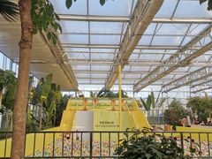 -南宫五洲植物乐园