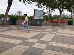 -白洋淀景区