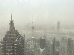 -上海柏悦酒店·世纪100牛排馆