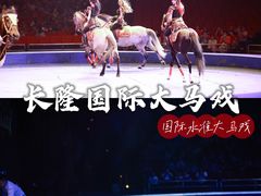 -珠海横琴长隆《卡卡虎奇遇记》