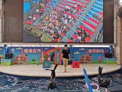 -成都浩海立方海洋公园