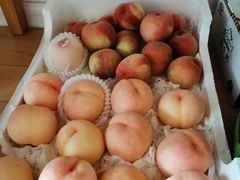 -东方鼎信农副产品交易中心
