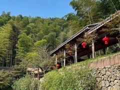 -宁波浙东大竹海景区