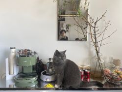 -飛凡TATTOO纹身•原创