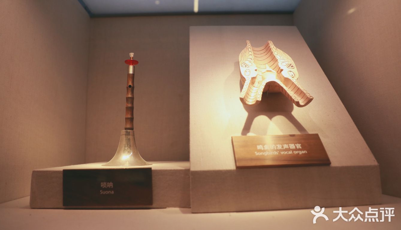 昆虫身上的奥秘