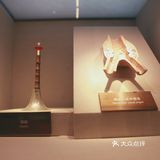 昆虫身上的奥秘