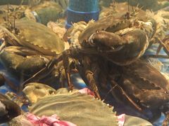 -海立阁海鲜江浙菜(漕河泾印象城店)