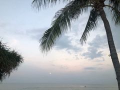 -查汶海滩