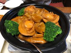 -海王老记