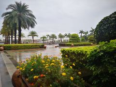 -厦门国家会计学院
