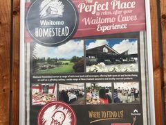 -怀托摩萤火虫洞