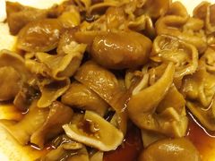 -顺季