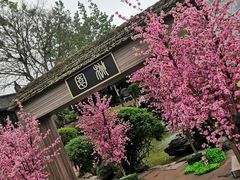 -黄龙溪古镇