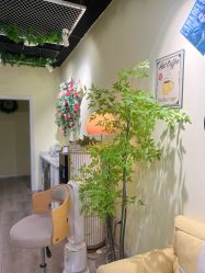 -变美丽半永久纹眉连锁·机器野生眉•洗眉