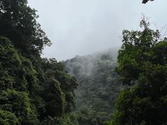 -鼎湖山风景区