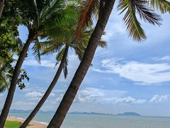 -小海豚•老字号海鲜餐厅(天涯店)