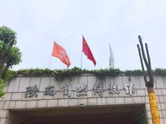 -陕西自然博物馆