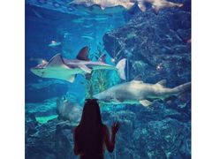 -暹罗海洋世界