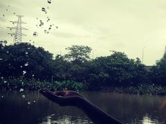 -小洲村