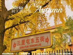 -三里屯东五街银杏大道
