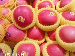 -T11生鲜超市(朝阳公园店)