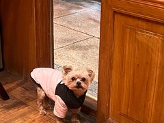 -萨拉伯尔(燕莎友谊商城店)