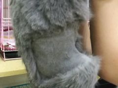 -瑞鹏宠物医院·骨科·猫科·内科(第一中心)