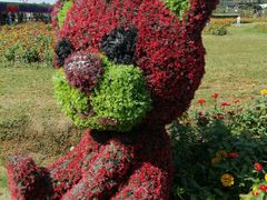 -苏州太湖西山岛开心农场
