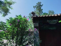 -阳台山自然风景区