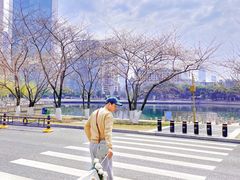 -西北湖绿化广场