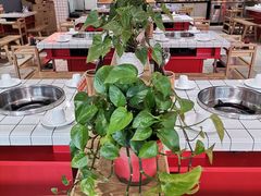 -蛙一刀·麻椒鱼火锅(金仙桥店)