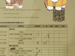 -环亚体检中心(桐梓林分院)
