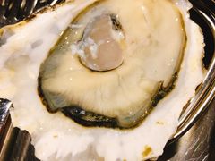 -囧吉香生蚝牛排馆(湖北路店)