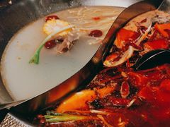 -辣伍鲜毛肚老火锅(元一店)