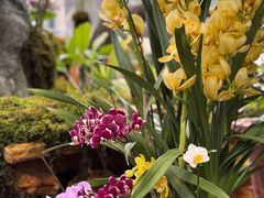 -国家植物园南园