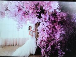 -米兰尊荣婚纱摄影·婚纱照会馆