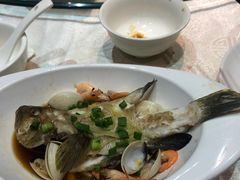 -麦船长