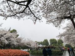-堤角公园