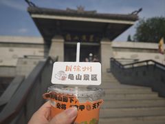 -徐州龟山景区