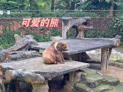 -南宁市动物园