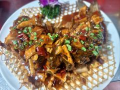 -金龙寨(解西店)