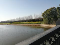 -上海长兴岛郊野公园